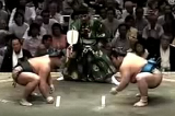 Sumo Tour